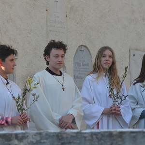 Palmweihe 2025 in Peggau