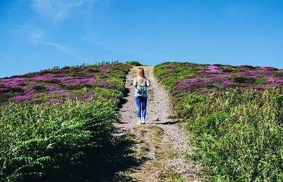 Verschiedene spannende Veranstaltungen können in der Bildungswoche kostenlos besucht werden.